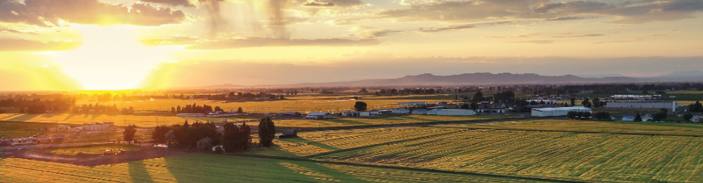 Sun on horizon over potato farm and fields