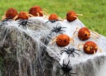 Stuffed Idaho® Potato Spiders 