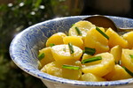 Springtime Green Garlic Potato Salad