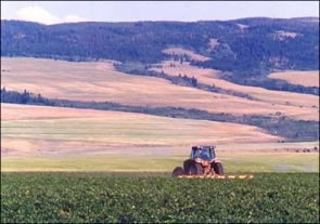 When Does The Idaho Potato Planting