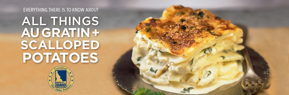 All Things Au Gratin Potatoes Banner