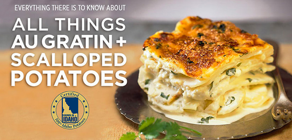 All Things Au Gratin Potatoes